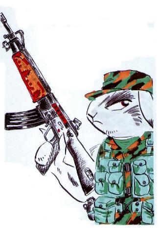 rabbit star-mercenary ؒ鍑ogH